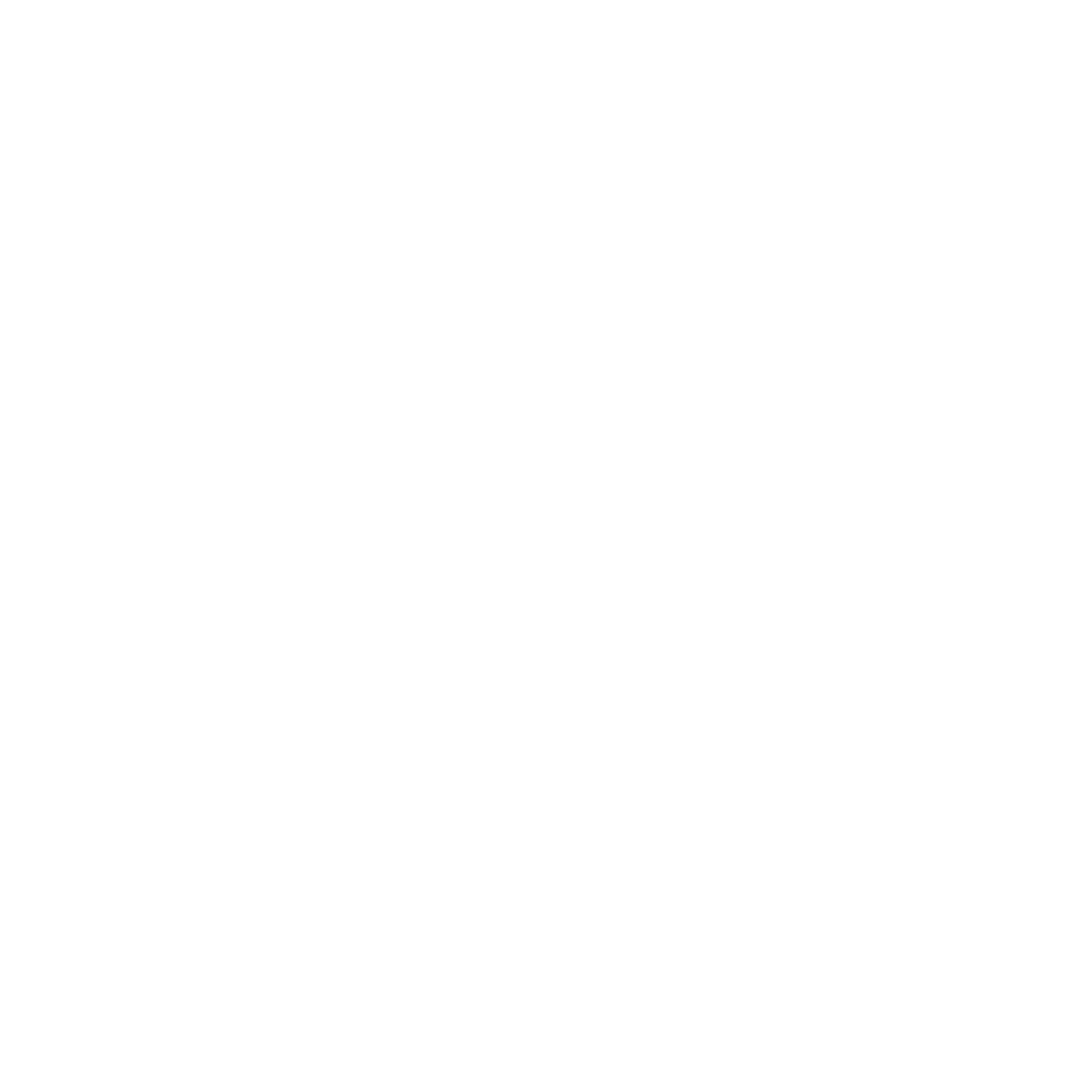 Minnesota Lynx